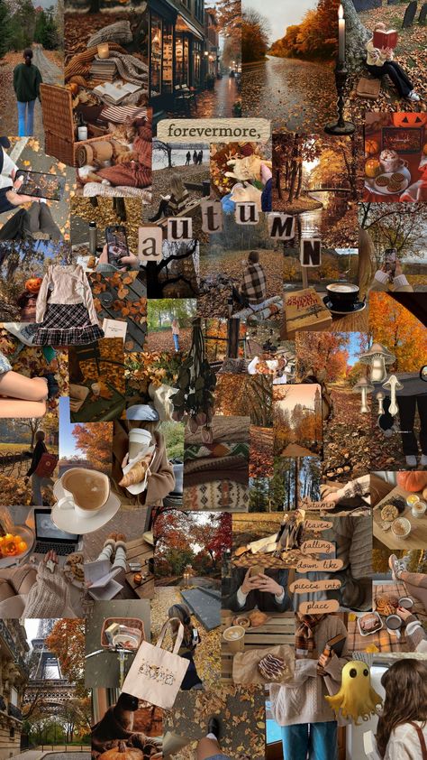 Autumn 🍂🐿☕🧸🎃 #autumn #aestethic #shuffle #collages Fall Inspo, Autumn Aesthetic, Phone Wallpaper, Collage