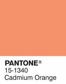 Cadmium Orange Orange Pantone Shades, Orange Pantone, Pantone Orange, Boy Pablo, Cadmium Orange, Pantone Swatches, Pantone Palette, Pantone Colour Palettes, Inspirational Decor