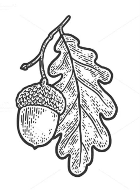 Oak Leaf Acorn Tattoo, Tattoo Oak Leaf, Aspen Leaf Drawing, Oak Leaf Illustration, Oak Leaves Tattoo, Oak Leaf Drawing, Simple Wood Burning Patterns, Oak Leaf Tattoo, Neverland Tattoo