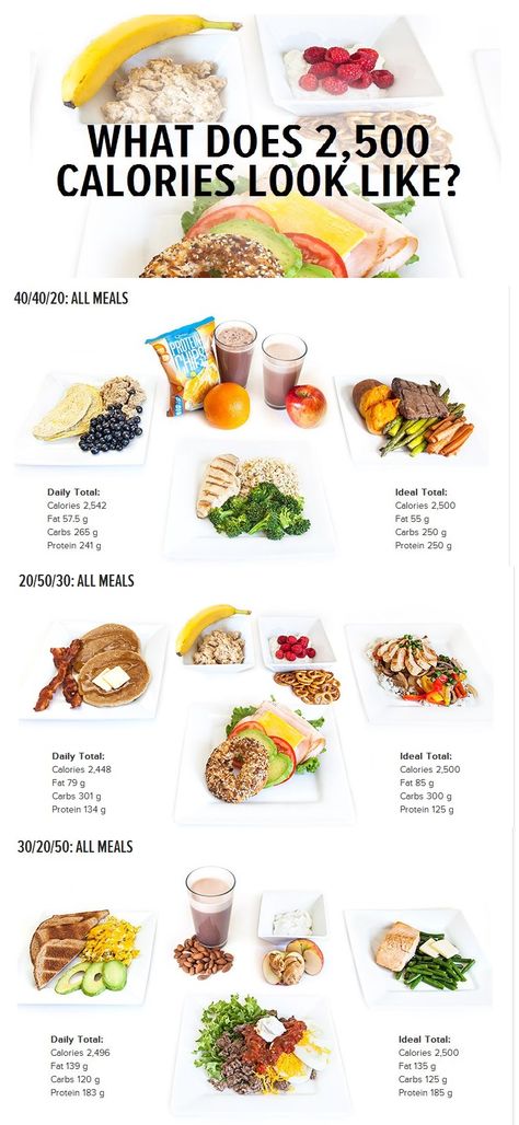 What Does 2,500 Calories Look Like? Meal Prep Weight Gain, 2500 Calorie Meal Plan, 2000 Calorie Meal Plan, Gain Meals, Healthy Weight Gain Foods, 1000 Calorie, Food To Gain Muscle, Weight Gain Diet, Weight Gain Meals