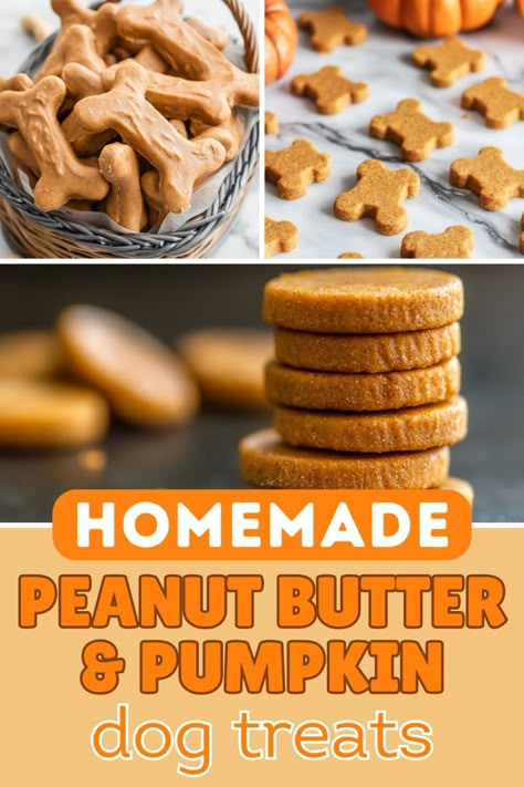 If you're eager to treat your pup to something special, try our 5 easy peanut butter pumpkin dog treat recipes! From crunchy oven-baked dog treats to refreshing frozen bites, we’ve covered all the bases. Plus, they’re super easy to make and perfect for dogs of all ages! Click here to start baking these irresistible homemade pumpkin peanut butter dog treats that’ll keep your pet happy and healthy! Healthy Peanut Butter Dog Treats, Peanut Butter Pumpkin Oatmeal Dog Treats, Pumpkin Recipes For Dogs Doggie Treats, Diy Organic Dog Treats, Homemade Dog Pumpkin Treats, Crunchy Peanut Butter Dog Treats, Pumpkin Cookies For Dogs Doggie Treats, Pumpkin Dog Treats From Real Pumpkin, Dog Treats Homemade Pumpkin Peanut Butter