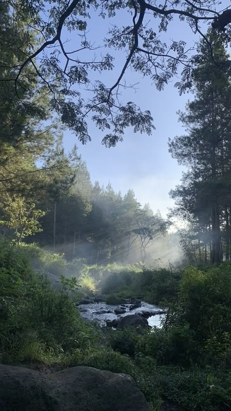 Sunny Forest Aesthetic, Pretty Landscapes, Alam Yang Indah, Nature Aesthetic, Pretty Places, Sky Aesthetic, Green Aesthetic, Scenery Wallpaper, Nature Wallpaper