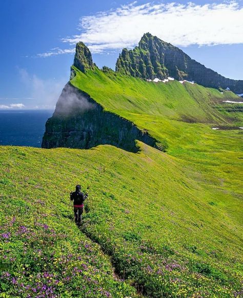 Iceland Iceland Nature, Iceland Photos, Nice Places, Travel Photography Tips, Cool Landscapes, Reykjavik, Dream Board, Wild Life, Nature Reserve