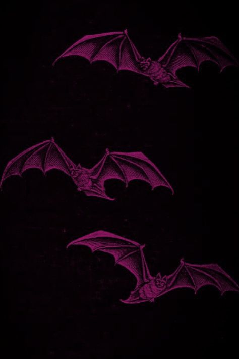 Pink Bat Aesthetic, Drolta Tzuentes, Pink Vampire Aesthetic, Pink Goth Aesthetic Wallpaper, Pink And Black Goth, Pink Goth Aesthetic, Goth Aesthetic Wallpaper, Frickin Bats, Draculaura Aesthetic