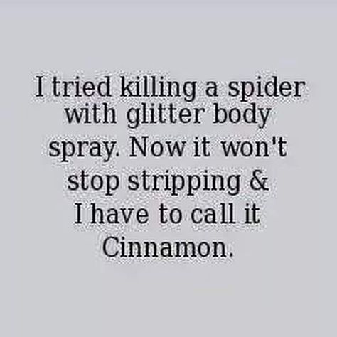 "I tried killing a spider with glitter body spray. Now it won't stop stripping & I have to call it Cinnamon"  lmao this is just perfect Sick Humor, Laughing So Hard, Funny Pins, Bones Funny, Funny Cute, Really Funny, I Laughed, My Blog, Me Quotes