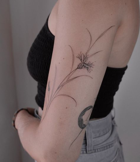 Cornflower Tattoo, Corn Flower, My Signature, July 1, Tattoo On, Flower Tattoos, Lisbon, I Tattoo, Flower Tattoo