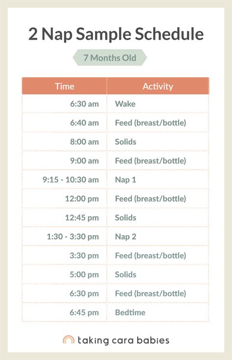 6 Month Sleep Schedule, 10 Month Old Schedule, 7 Month Old Sleep, 6 Month Old Sleep, Taking Cara Babies, Wake Windows, Sleep Regressions, Uppfostra Barn, Moms On Call