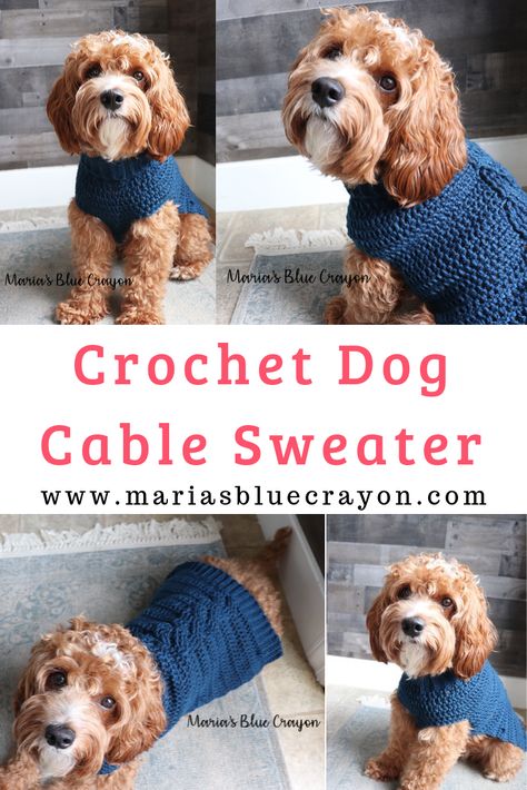 Learn how to make this crochet dog sweater with a cable detail down the back. This tutorial allows you to make any size for a custom fit. Full video tutorial on Maria's Blue Crayon blog. #dog #sweater #crochet #pattern #tutorial #video Crochet Dog Sweater Free Pattern, Knitted Dog Sweater Pattern, Crochet Dog Clothes, Dog Sweater Crochet Pattern, Sweater Tutorial, Blue Crayon, Short Dog, Dog Sweater Pattern, Long Dog