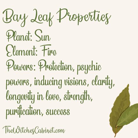 Want to learn the magical properties of bay? Check this out! Tuesday Magick, Sunday Magick, Bay Leaf Magic, Corn Health Benefits, Herb Book, Burning Bay Leaves, Spiritual Goddess, Apple Plant, Natural Air Freshener