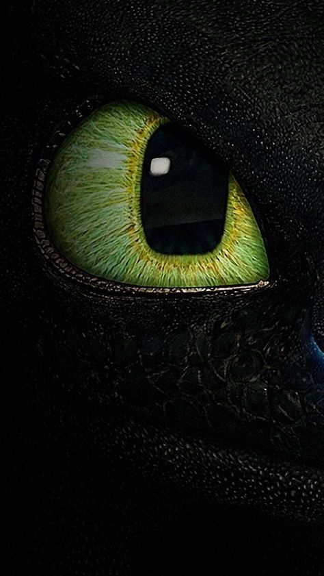 Wallpaper Toothless Wallpaper, Dragon Wallpaper Iphone, Toothless Dragon, Dragon Party, Dragon Trainer, Wallpaper Tumblr, Night Fury, Train Your Dragon, Dragon Eye