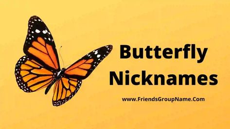 Butterfly Nicknames: How are you guys, the net was very excited about this, to provide my Butterfly Nicknames, I am giving a list of Butterfly Nicknames and Kochi names, you will see it well, then you will know that you will be able to name it properly. You should have been doing this for a ... Read more The post 250+Butterfly Nicknames【2022】Best, Funny & Good Butterfly Names Ideas appeared first on Friends Group Name List for Friends, Family, Cousins, Cool and Funny. Butterfly Username Ideas, Ig Username Ideas Butterfly, Butterfly Names, Friends Group Name, Nicknames Ideas, Cool Usernames, My Butterfly, Ideas For Instagram, Instagram Username Ideas