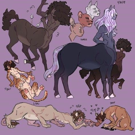 Centaur Species, Big Cat Centaur, Centaurs Oc, Hybrid Fantasy Creatures, Centaur Art Reference, Person With Animal Reference, Centaur X Human, How To Draw A Centaur, Centaur Drawing Reference