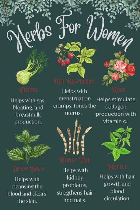 #FitnessTips #Wellness #HealthyLiving #FitLife #SelfCare #HealthyLifestyle #NutritionTips #HealthTips Herbs For Women, Books And Tea, Medical Herbs, Magia Das Ervas, Magic Herbs, Herbal Apothecary, Feminine Health, Natural Healing Remedies, Healing Remedies