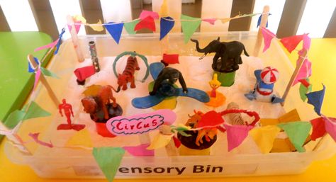 A circus themed sensory bin Carnival Sensory Bin, Circus Sensory Bin, Circus Sensory, Twos Activities, Circus Week, Circus Ideas, Daycare Art, Circus Activities, Sensory Kits