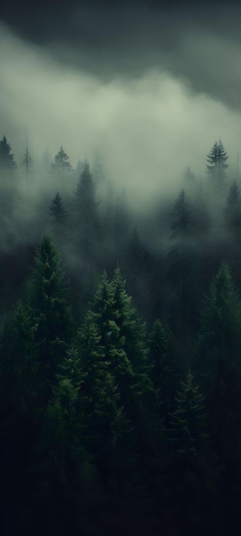 Dark Green Twilight Aesthetic, Forest Aesthetic Iphone Wallpaper, Foggy Trees Wallpaper, Dark Forest Wallpaper Aesthetic, Dark Green Iphone Background, Subtle Iphone Wallpaper, Iphone Background Dark Aesthetic, Raven Wallpaper Dark, Forest Wallpaper Drawing