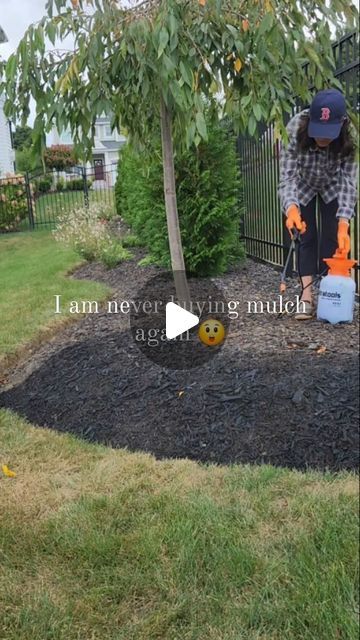 Tatiane | Our.cozy.white.home on Instagram: "Fall is here but it doesn't mean our outdoor activities are done for the season, we still have beautiful days ahead to enjoy outside.🤗

This is why I wanted to refresh this flower bed, not with flowers just a good clean up and a fresh coat of Black Mulch Dye from @petramax_
@petratools .

OMG what a difference...this is a game changer, easy to apply, non-toxic, safe for pets-plants and long lasting results....I am obsessed!!!!😍
***make sure to prep the area well, pull out weeds this is not herbicide 😉

Did you start with your fall clean up yet? 

Hope you all have a wonderful week! 🍂🍁" Rubber Mulch Landscaping Ideas, Black Mulch Landscaping Front Yards, Mulch Landscaping Ideas, Mulch Dye, Mulch Landscaping, Have A Wonderful Week, Fall Clean Up, Beautiful Days, Fall Is Here