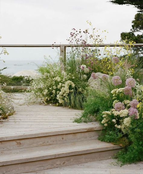 Wildflower Wedding Theme, Sea Stars, Flower Installation, Santa Barbara Wedding, Floral Studio, Garden Party Wedding, Floral Backdrop, Ceremony Flowers, Jaco