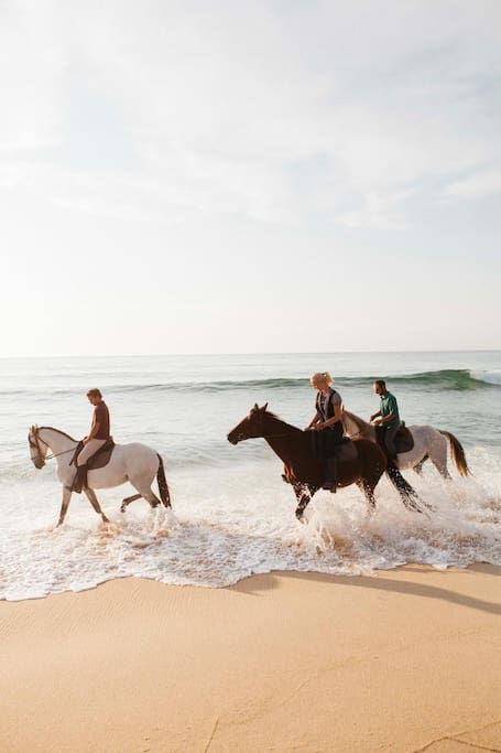 Horse Riding on the Beach — Airbnb Experience Beach Airbnb, Horses On The Beach, Beach Rides, Horse Aesthetic, Horse Blankets, Texas Hill Country, Pretty Horses, Horse Photography, Horse Love