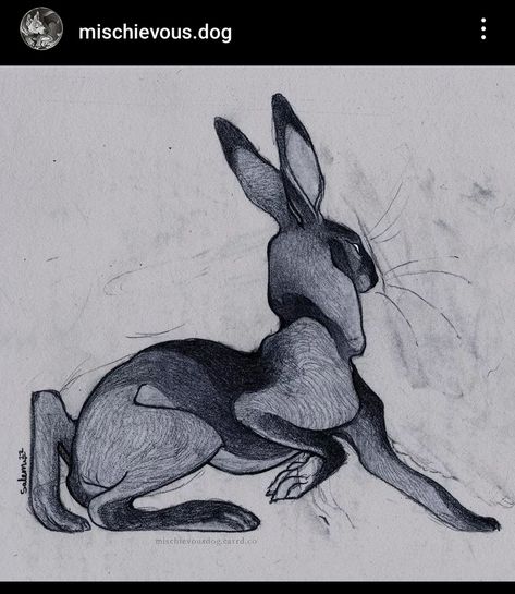 Hare Sketch, Hare Drawing, Hare Illustration, Hare Rabbit, Dog Instagram, Rabbit Drawing, Nature And Animals, Instagram Visual, Art Student