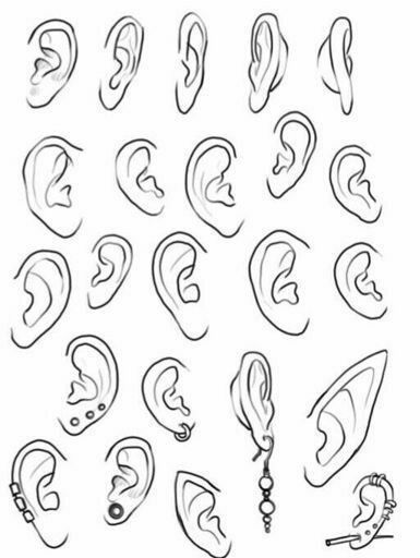 Ear Shapes, How To Draw Ears, Ear Art, Sketches Tutorial, Drawing Expressions, Easy Drawings Sketches, Figure Drawing Reference, Anime Drawings Tutorials, Book Art Drawings