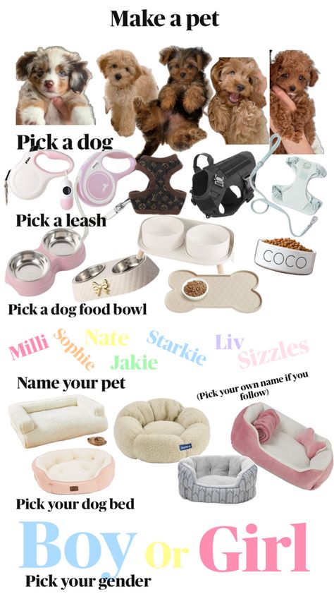 Dog Supplies List, Puppy Items, New Puppy Checklist, Puppy Checklist, Making A Gift Basket, Puppy Room, Very Cute Puppies, Puppy Accessories, Dog Essentials