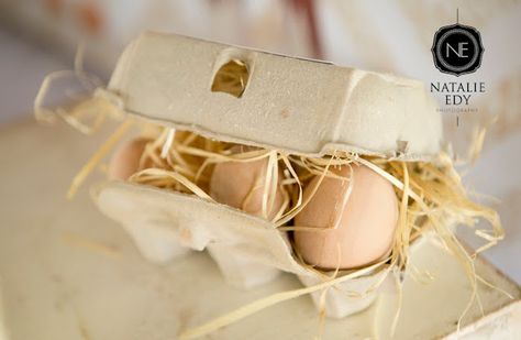 Egg Carton + Eggs from a Farmyard Birthday Party via Kara's Party Ideas | KarasPartyIdeas.com (22) Farm Animal Printables, Farmyard Birthday Party, Farmyard Birthday, Duck Quack, Fun Party Ideas, Cake Cute, No Egg Desserts, Farm Themed Birthday Party, Birthday Party Desserts