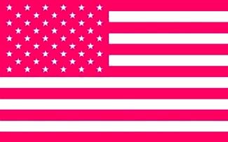 Ice Spice Flag Pink, Pink American Flag Wallpaper, Usa Flag Aesthetic, Ice Spice Flag, Usa Flag Wallpaper, Pink American Flag, Patriotic Wallpaper, Usa Wallpaper, Midwest Princess