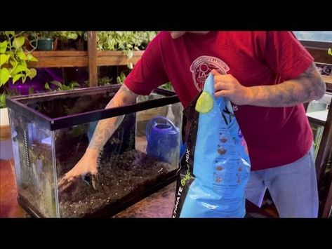 (4564) DIRT Planted Tank Setup - How to SOIL an Aquarium - YouTube Planted Tank, The Aquarium, Potting Soil, Fish Tank, My Way, Soil, Water, Plants