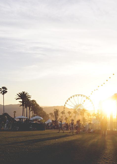 amabitious aesthetics Summer Dreaming, Festival Photos, Pretty Photography, Coachella Music Festival, Coachella Music, Music Events, Festival Poster, Festival Style, Sun Sets