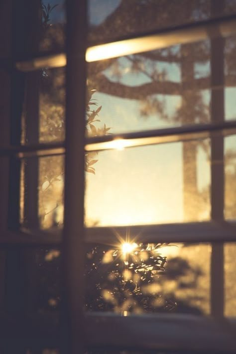 Through the window An Open Window, Foto Art, Window View, Trik Fotografi, Open Window, Through The Window, Beautiful Mind, Morning Light, Photography Nature