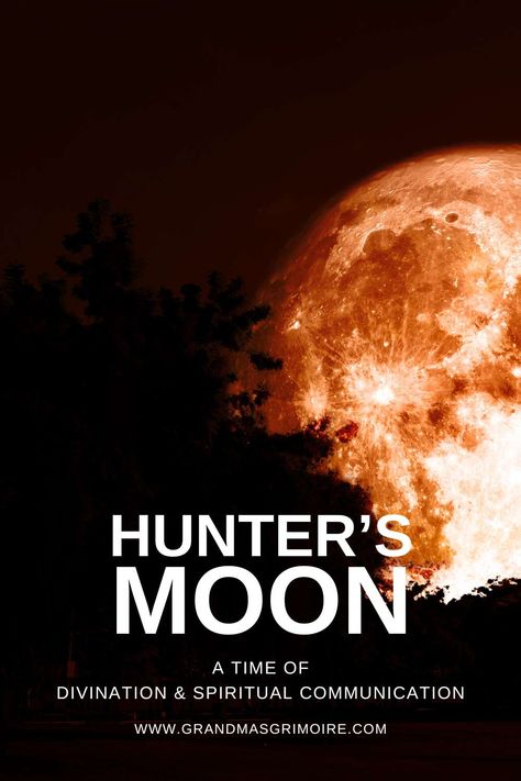 Hunter's Moon 2024 » Grandma's Grimoire Samhain Divination, Ancestral Veneration, Samhain Celebration, Hunter Moon, Spiritual Communication, Pagan Traditions, Next Full Moon, Magic Moon, Full Moon Ritual