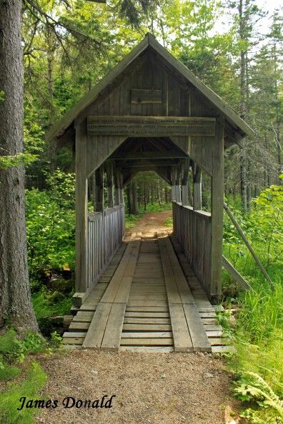 Bridge idea 1 Small Bridge In Garden, Bridge Over Pond, Bridge Over Creek, Bridge Entrance, Yard Bridge, Backyard Bridges, Unique Landscaping, Fence Landscaping Border Backyard Ideas, Bridge Ideas