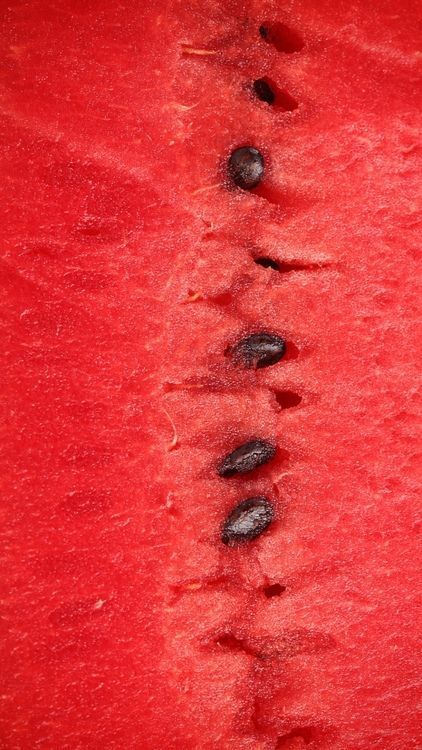 Foto Macro, Watermelon Pattern, Simply Red, Pink Stars, Red Aesthetic, Shades Of Red, Red Hot, Ruby Red, Deep Red