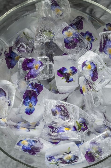 Summer Ice Cubes, Flower Ice Cubes, Healthy Food Photography, Ice Photography, Flower Ice, Food Art Photography, Creative Food Art, Cooking Advice, Food Photography Inspiration