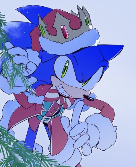 Hedgehog Christmas, Sonic Videos, Classic Sonic, Sonic Funny, Blue Hedgehog, Sonic 3, Hedgehog Art, Cute Hedgehog, Sonic And Shadow