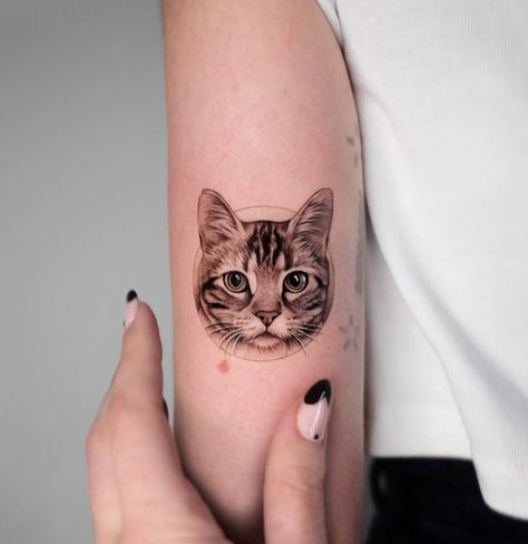 Half Sleeve Cat Tattoos For Women, Cat Sleeve Tattoos For Women, Cat Arm Tattoos For Women, Cat Forearm Tattoo Women, Half Cat Face Tattoo, Tato Idea, Female Half Sleeve, Tabby Cat Tattoo, Tattoo Pet