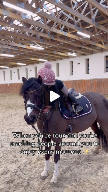 🐴 𝐄𝐪𝐮𝐞𝐬𝐭𝐫𝐢𝐚𝐧 𝐥𝐢𝐭𝐭𝐥𝐞 𝐬𝐢𝐬𝐭𝐞𝐫𝐬 🇨🇿 on Instagram: "Johy ❤️❤️❤️  . . .  #galusistersride #poweredbykingsland #kingslandequestrian #horse #pony #ponylove #friendship #friends #daughter #dreams #kids #passion #love #showjumping" Kids Riding Horses, Pony Videos, Horse Humor, Animal Behaviour, Wild Horse Pictures, Funny Horse Videos, Funny Horse Pictures, Funny Puppies, Pony Rider