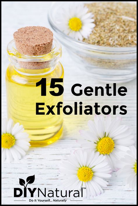 If you have sensitive skin you need to use a gentle exfoliator. This list of 15 gentle exfoliation solutions is just what the doctor ordered! Stinging Nettle, Homemade Oil, Natural Beauty Diy, Diy Facial, Homemade Bbq, Homemade Cleaning Products, Natural Exfoliant, Facial Exfoliator, Oily Skin Care