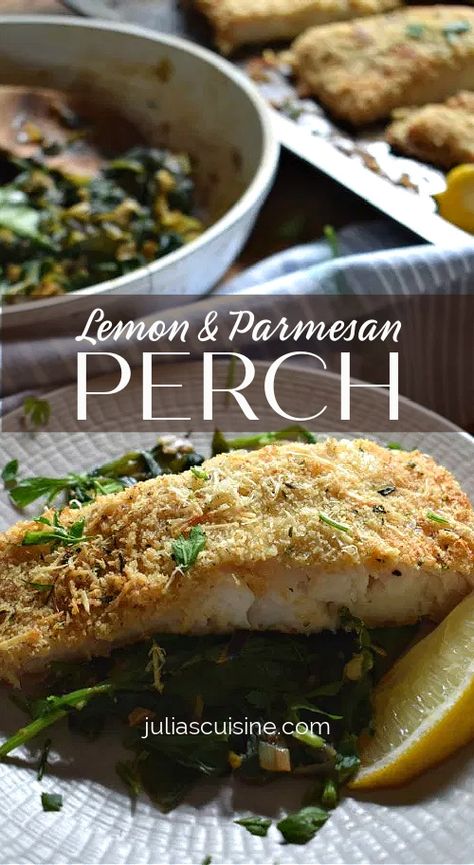 Make this Lemon & Parmesan Perch with Sauteed Spinach. It’s super healthy, budget friendly, quick and easy dinner. You can have dinner on the table in about 1/2 hour, so I think we can call it quick week night dinner. Fish for the win! Dinner Recipes Under 500 Calories, Perch Recipes, Recipes Under 500 Calories, Fancy Recipes, Dinner Fish, Healthy Budget, Fingerfood Party, Low Calorie Dinners, Sauteed Spinach