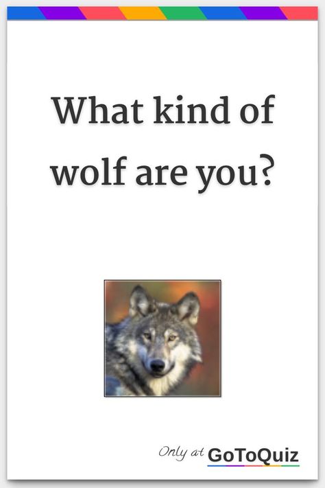 What Therian Am I, Red Wolf Therian, Gray Wolf Therian, Wolfie Blackheart, Wolf Therian Tips, Wolf Types, Therian Quiz, Black Wolf Therian, Wolf Breeds