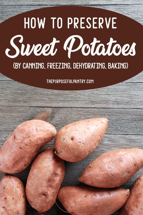 Store Sweet Potatoes, Canning Granny, Potato Gardening, Freezing Vegetables, Freeze Sweet Potatoes, Canning Sweet Potatoes, Canning 101, Preserving Foods, Canning Tips