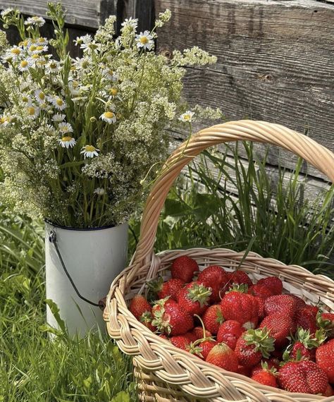 Strawberry Basket Aesthetic, Sunlit Kitchen, Cozy Core, Strawberry Basket, Strawberry Aesthetic, Strawberry Plant, Strawberry Girl, Strawberry Garden, Strawberry Patch