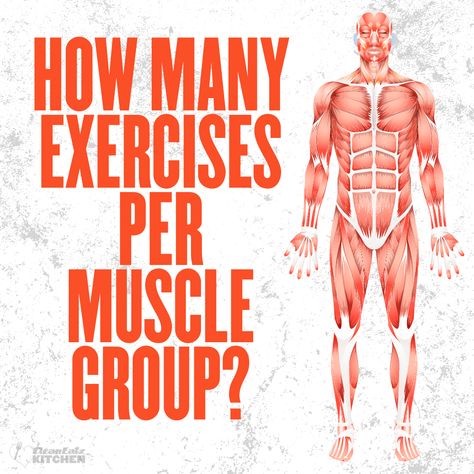 Target Muscle Groups, Arm Muscle Groups, Muscle Groups To Workout Together, Muscle Group Workout, Muscle Groups To Workout, Workout Planning, Group Workout, Major Muscle Groups, Invest In Your Health