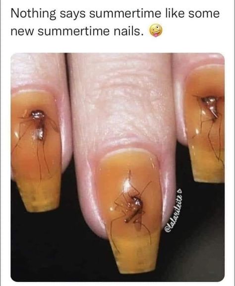 WTH??😳🥴 Octopus Nails, Summer Nails Simple, Summer Nails Designs, Favorite Holiday Desserts, Bad Nails, M Craft, Spice Tins, New Nail Polish, Homemade Cat