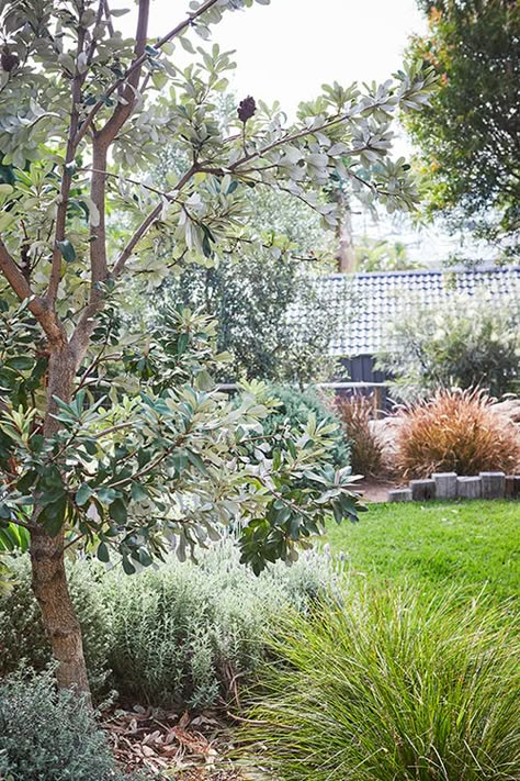 Sustainable Garden Design, Australian Garden Design, Design Backyard, Backyard Gardens, Australian Native Garden, Gardens Flowers, Front Garden Design, Backyard Gardening, Australian Garden