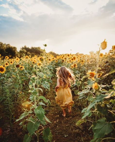 LOOKSLIKEFILM on Instagram: "📸 by @midwest_momtog_mackenzie" Farm Picture Ideas, Pictures With Sunflowers, Sunflower Mini Session, Firefly Photography, Sunflower Field Photography, Sunflower Field Pictures, Spring Arts And Crafts, Sunflower Photography, Farm Pictures