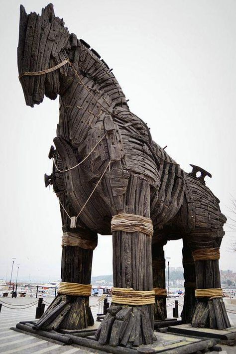 Troy Horse, Ancient Troy, City Of Troy, Trojan Horse, Harvey Norman, Greek Tattoos, Greek History, Greek And Roman Mythology, Wooden Horse