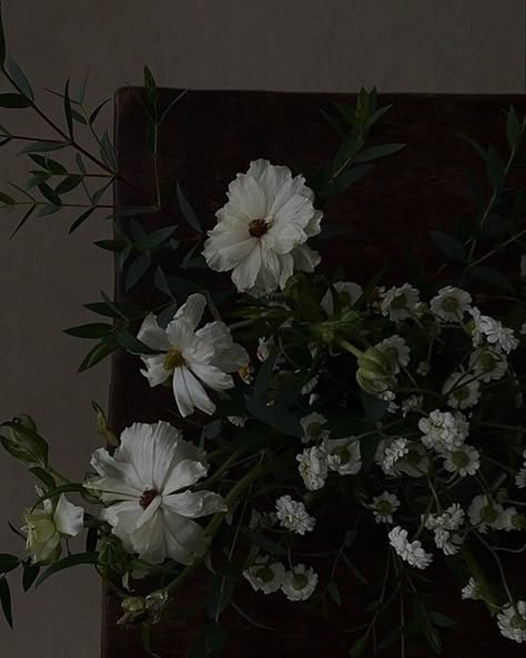 Dark Green Aesthetic, Dark Flowers, Nothing But Flowers, Dark Paradise, Flower Therapy, Foto Ideas Instagram, Dark Photography, Night Aesthetic, Nature Aesthetic