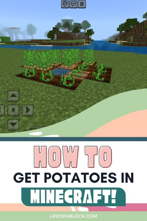 Screenshot of a potato farm in Minecraft, with clear skies and lush trees in the background. The image is topped with Minecraft's inventory icons and the bold title 'HOW TO GET POTATOES IN MINECRAFT!' in large pink and white letters, featured on the blog lifeofablock.com Minecraft Seeds Bedrock Edition Cottagecore, Minecraft Seeds For Bedrock, When To Pick Potatoes From Garden, When Are Potatoes Ready To Dig Up, Potato Memes Funny, Raw Potato, Survival Mode, Growing Potatoes, Water Sources