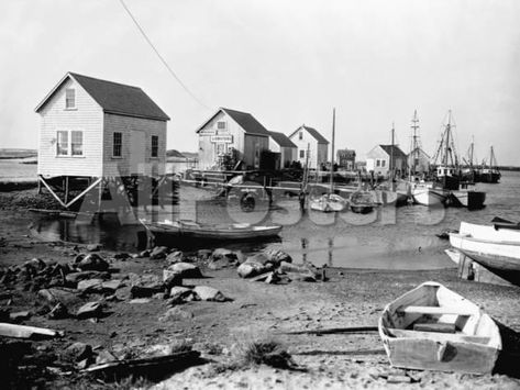 Martha's Vineyard Lobster Shacks Transportation Photographic Print - 61 x 46 cm Marthas Vinyard, Transportation Posters, Lobster Shack, Transportation Poster, Martha's Vineyard, Marthas Vineyard, Dark Forest, The Coast, Great Big Canvas